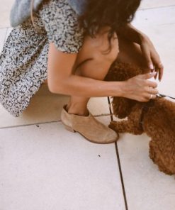 Alangowen.shopef6369fbc1 5